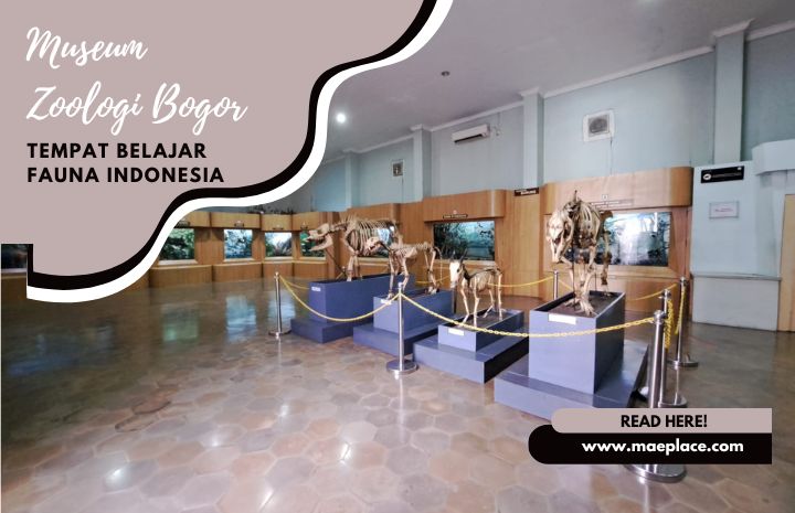 Museum Zoologi Bogor