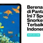 Spot Snorkeling Terbaik di Indonesia