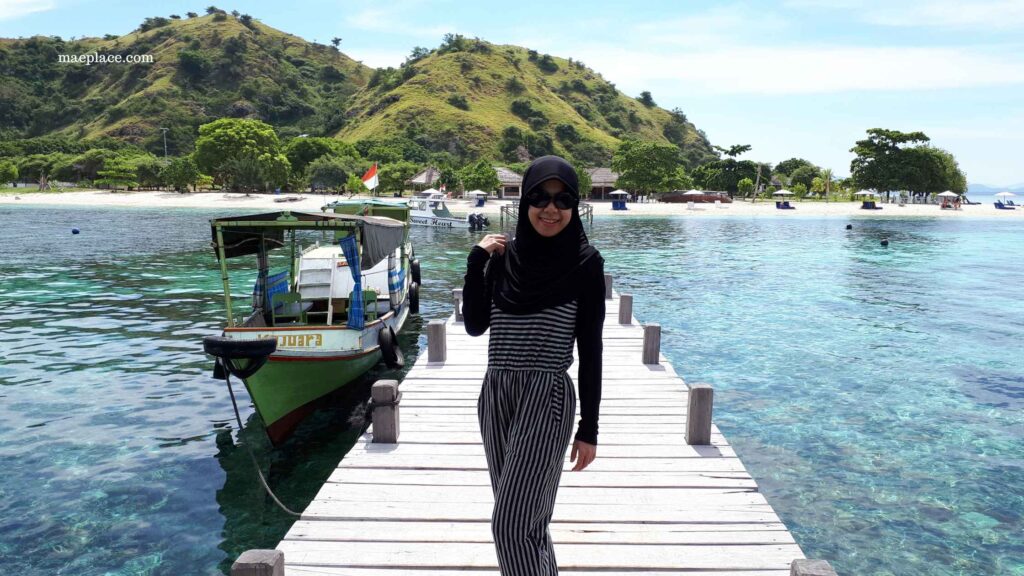 snorkeling di kepulauan komodo