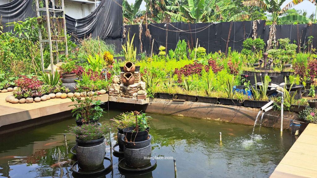 suasana alam di rumah makan