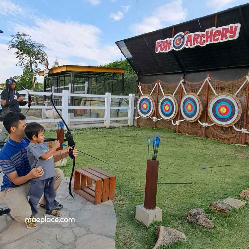 fun archery