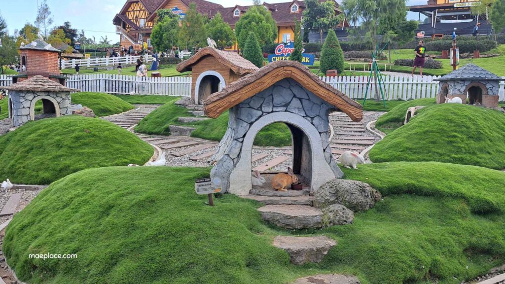 rabbit house boyolali
