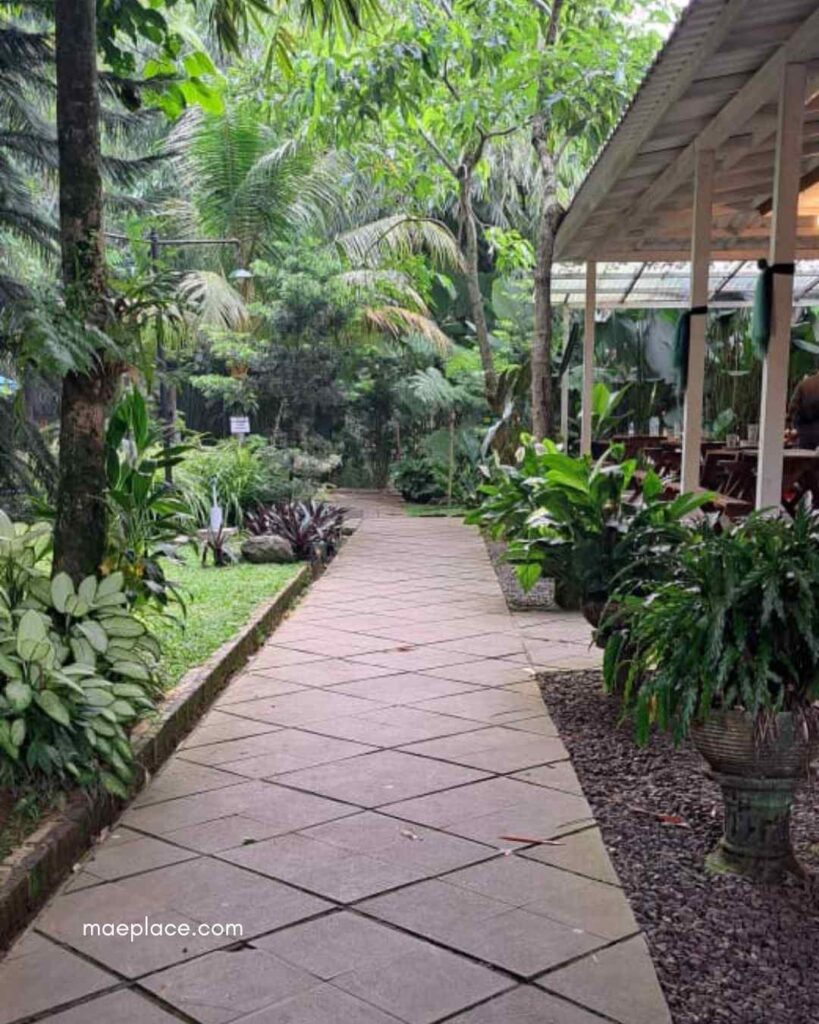 Suasana outdoor di Teras Leuweung Awi Bogor