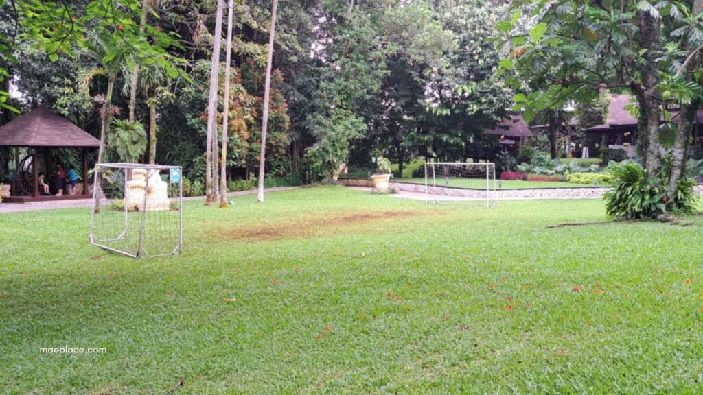 Area bermain bola