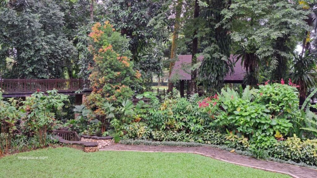 pemandangan hijau di hotel